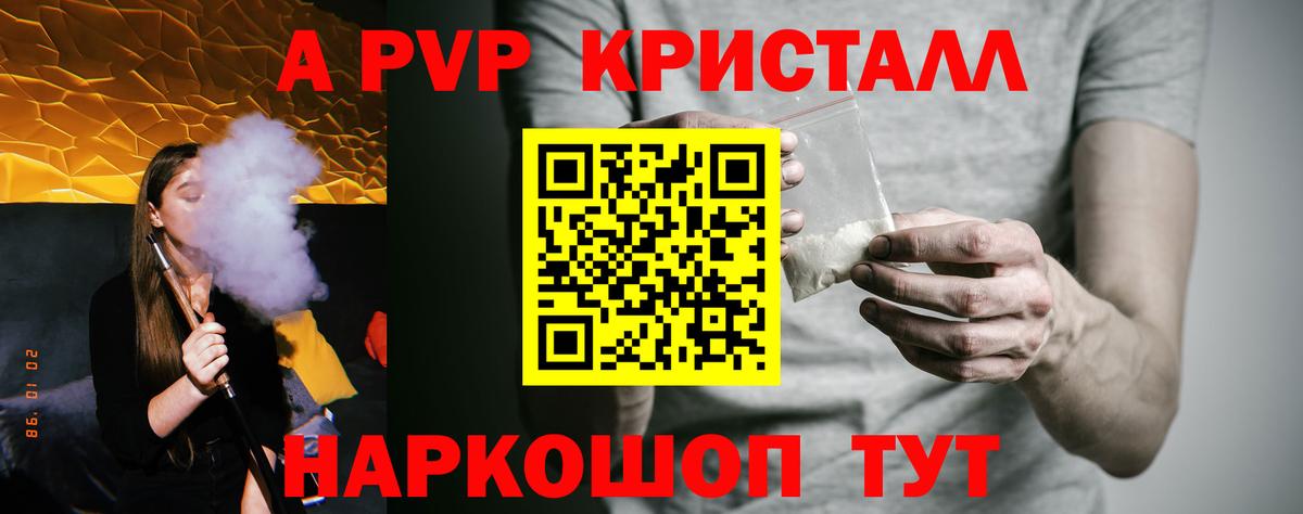 A PVP СК КРИС Сыктывкар